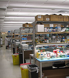 Lab space photo